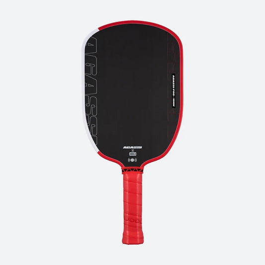 JOOLA Agassi Pro IV Pickleball Paddle