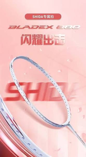 LINING BLADEX 880 SHIDA (4U)